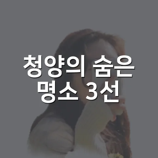 청양의 숨은 명소 3선