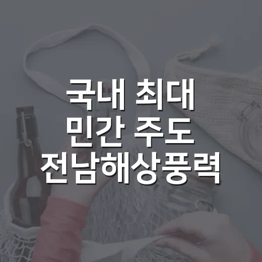 국내 최대 민간 주도 전남해상풍력 현장 점검