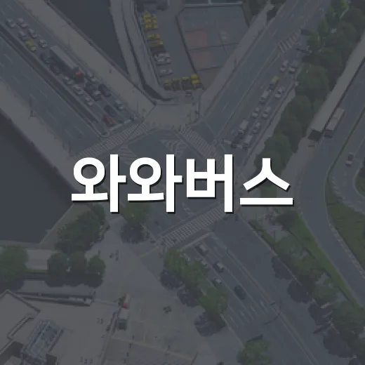 와와버스, AI로 교통카드 없이 무료 이용 간편화