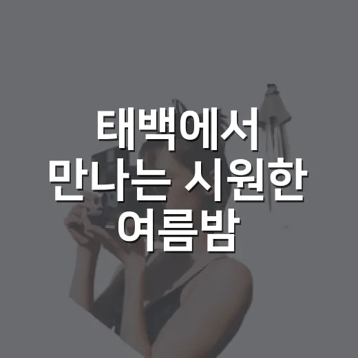 태백에서 만나는 시원한 여름밤