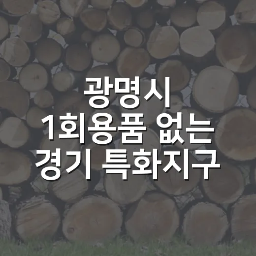 광명시 1회용품 없는 경기 특화지구 8월 SNS 이벤트