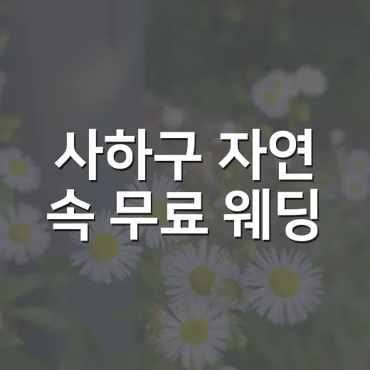사하구 자연 속 무료 웨딩·가족 스냅 촬영 기회
