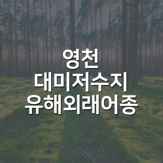 영천 대미저수지 유해외래어종 잡기