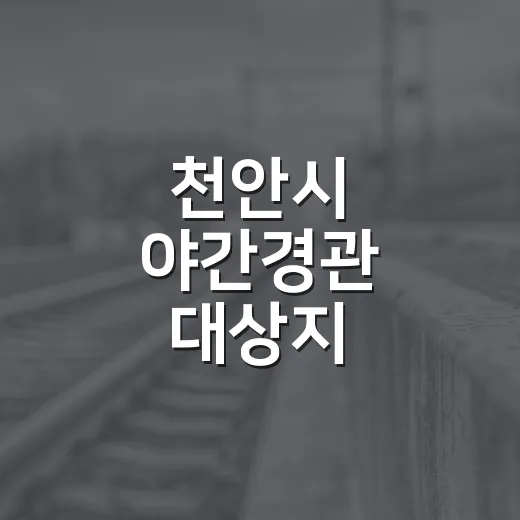 천안시 야간경관 대상지 시민투표 시작
