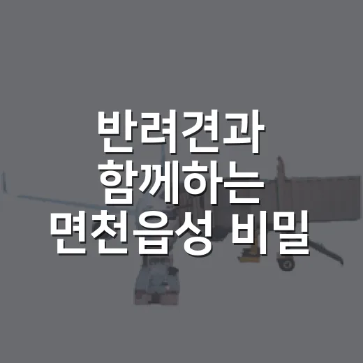 반려견과 함께하는 면천읍성 비밀 미션