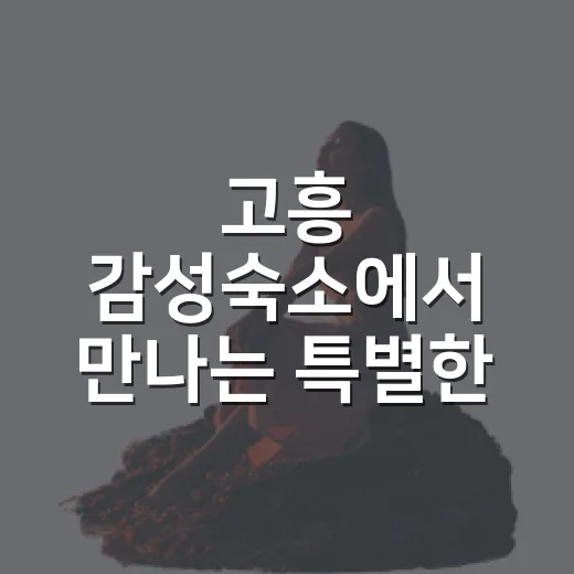 고흥 감성숙소에서 만나는 특별한 하루