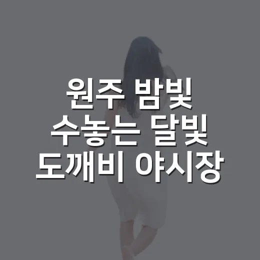 원주 밤빛 수놓는 달빛 도깨비 야시장