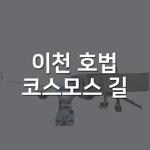 이천 호법 코스모스 길, 여름 산책 명소
