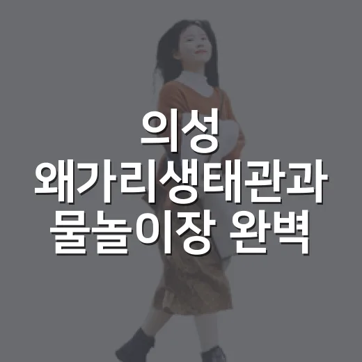 의성 왜가리생태관과 물놀이장 완벽 피서 코스