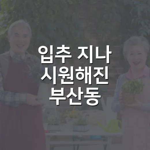 입추 지나 시원해진 부산동 물놀이장 풍경