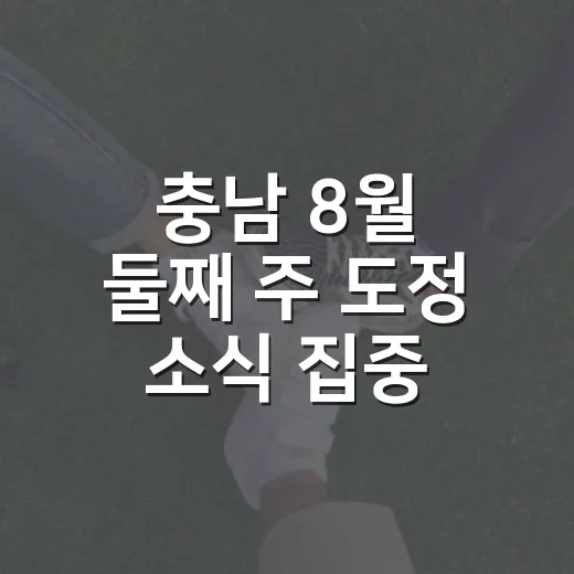 충남 8월 둘째 주 도정 소식 집중 점검