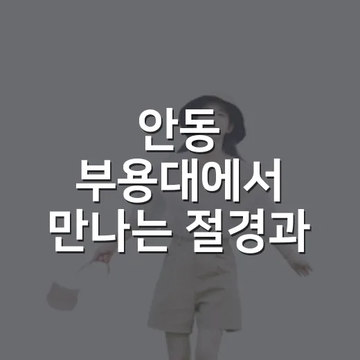 안동 부용대에서 만나는 절경과 인생샷 명소