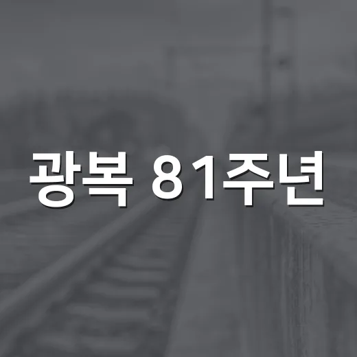 광복 81주년, 빛 되찾은 그날을 기억하다