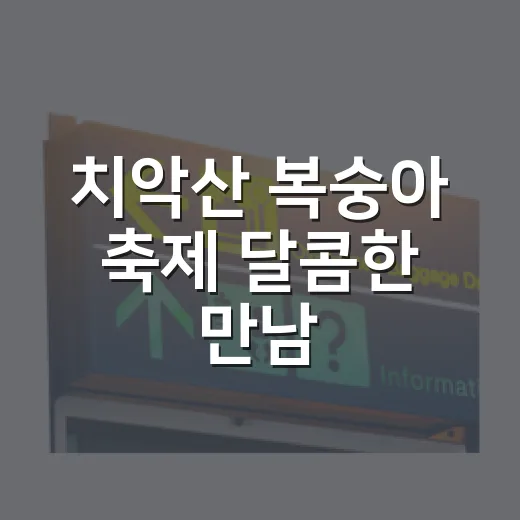 치악산 복숭아 축제 달콤한 만남