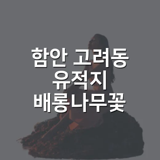 함안 고려동 유적지 배롱나무꽃 절경