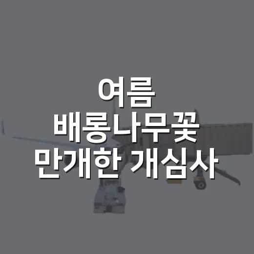 여름 배롱나무꽃 만개한 개심사 산책