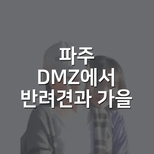 파주 DMZ에서 반려견과 가을 트레킹
