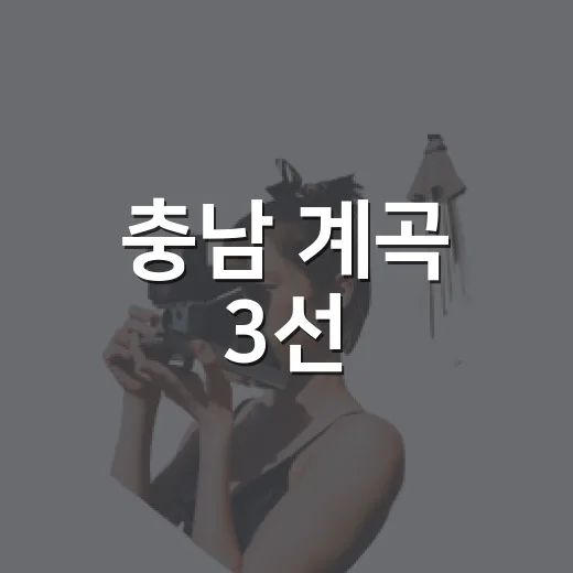 충남 계곡 3선, 여름 무더위 완벽 해소