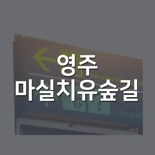 영주 마실치유숲길, 여름 더위 식히는 산책 명소