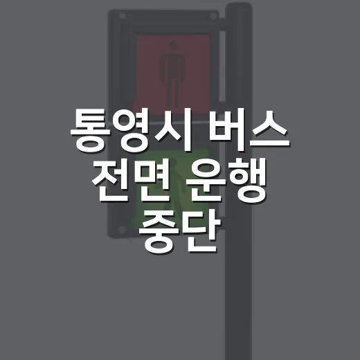 통영시 버스 전면 운행 중단, 집중호우 침수 영향