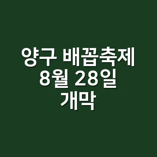 양구 배꼽축제 8월 28일 개막, 문화예술 향연