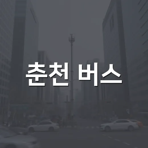 춘천 버스, 소양강처녀가 직접 체험한 변화