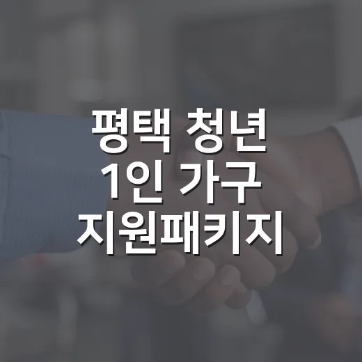 평택 청년 1인 가구 지원패키지 제공