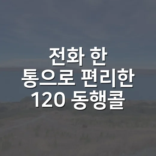 전화 한 통으로 편리한 120 동행콜택시