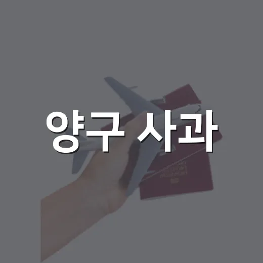 양구 사과, 자연이 빚은 가을의 달콤함