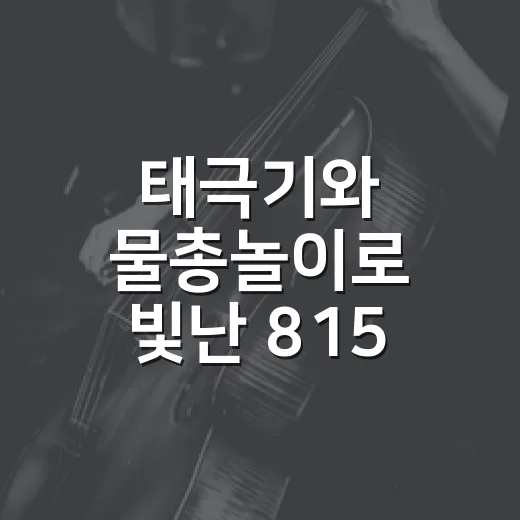 태극기와 물총놀이로 빛난 815 여름축제