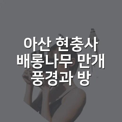 아산 현충사 배롱나무 만개 풍경과 방문 정보