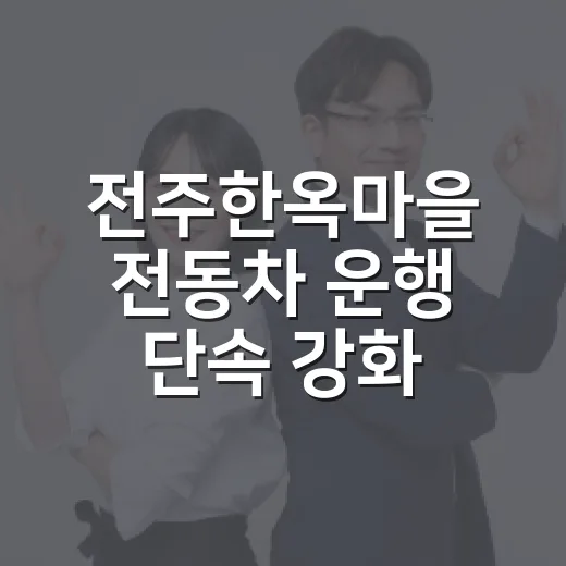 전주한옥마을 전동차 운행 단속 강화