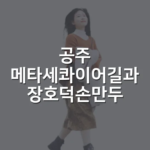 공주 메타세콰이어길과 장호덕손만두 산책과 맛의 만남