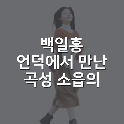 백일홍 언덕에서 만난 곡성 소읍의 정