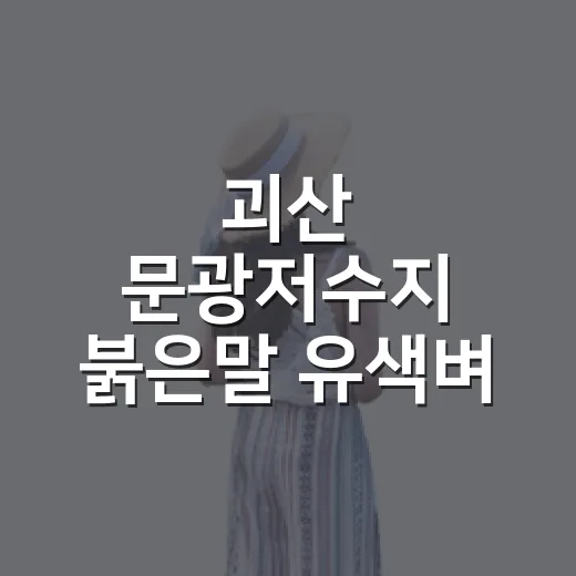 괴산 문광저수지 붉은말 유색벼 논그림과 황화코스모스