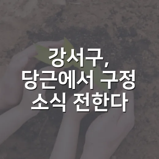 강서구, 당근에서 구정 소식 전한다