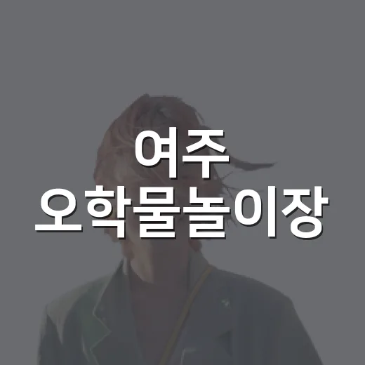 여주 오학물놀이장, 도심 속 여름 피서지