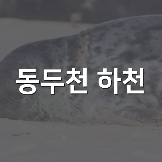 동두천 하천·계곡 불법시설물 대대적 정비