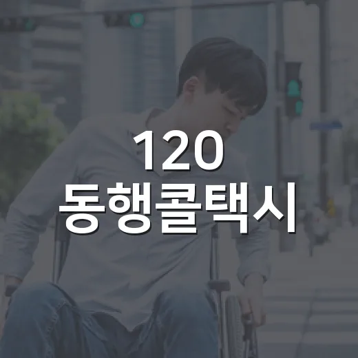 120 동행콜택시, 어르신 맞춤 서비스 대폭 개선