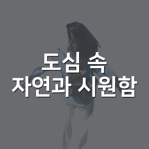 도심 속 자연과 시원함, 용허리 물놀이장