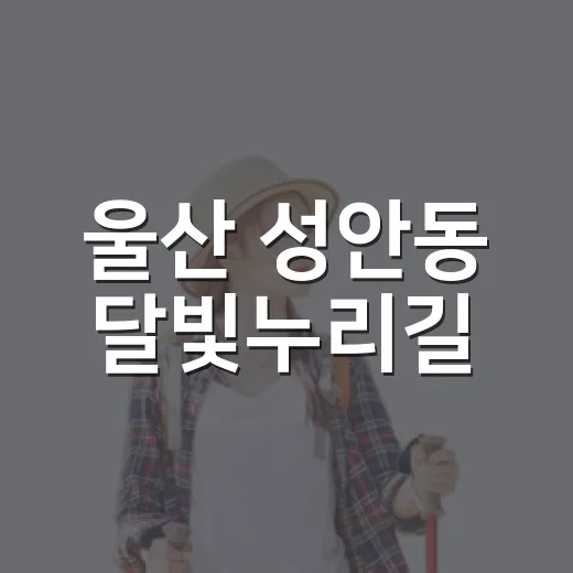 울산 성안동 달빛누리길, 빛과 야경의 산책 명소