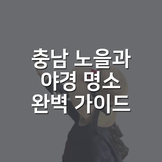 충남 노을과 야경 명소 완벽 가이드