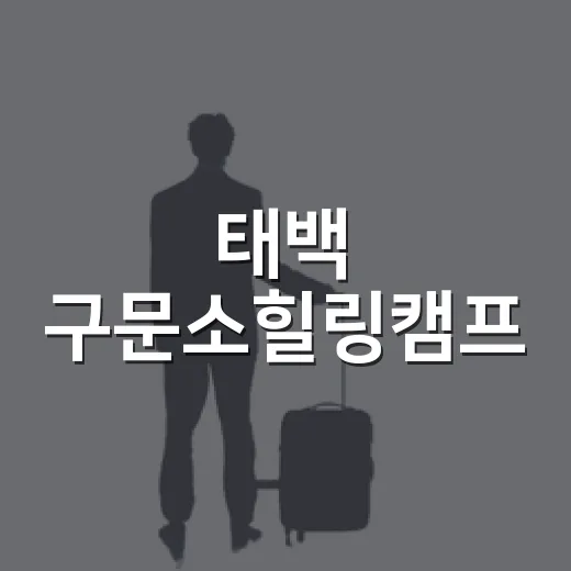 태백 구문소힐링캠프, 불멍과 BBQ로 채운 여름밤