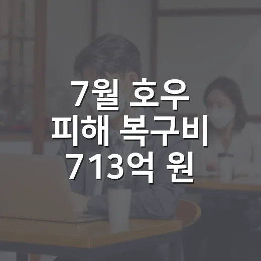 7월 호우 피해 복구비 713억 원, 지원 내용은