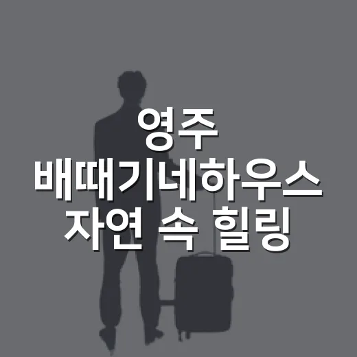 영주 배때기네하우스 자연 속 힐링 민박