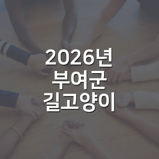 2026년 부여군 길고양이 중성화사업 본격 시행