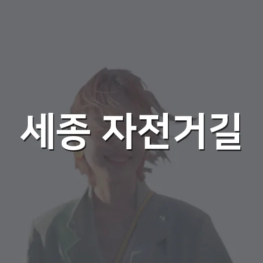 세종 자전거길, 금강에서 방축천까지의 밤 라이딩