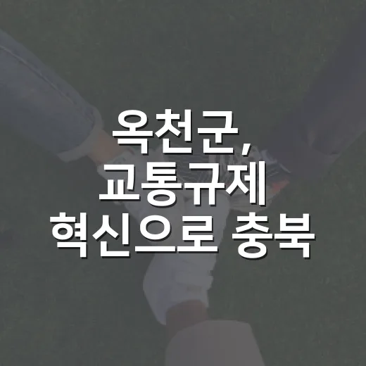 옥천군, 교통규제 혁신으로 충북 우수상 수상