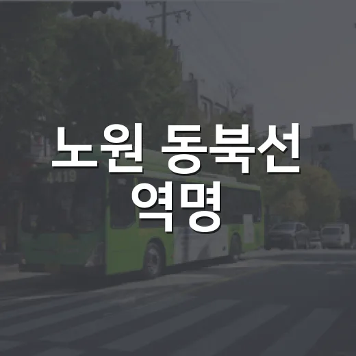 노원 동북선 역명, 구민 온라인 투표 재실시