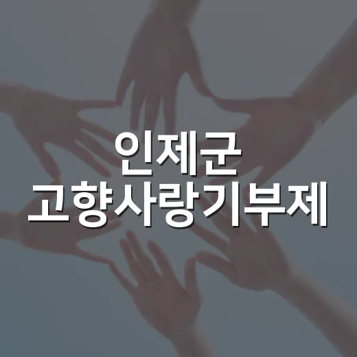 인제군 고향사랑기부제, 미래를 여는 4대 지정기부사업